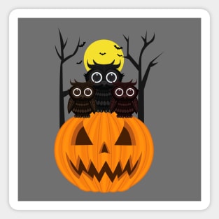 Jack O lantern & Owls Magnet